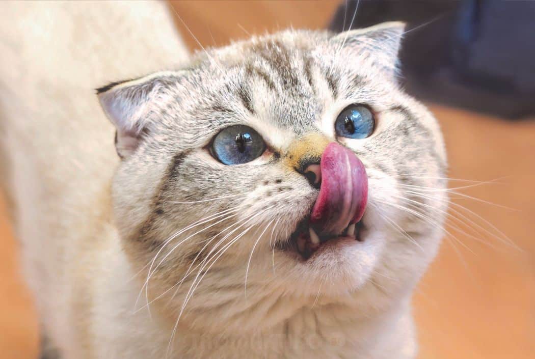 Image default