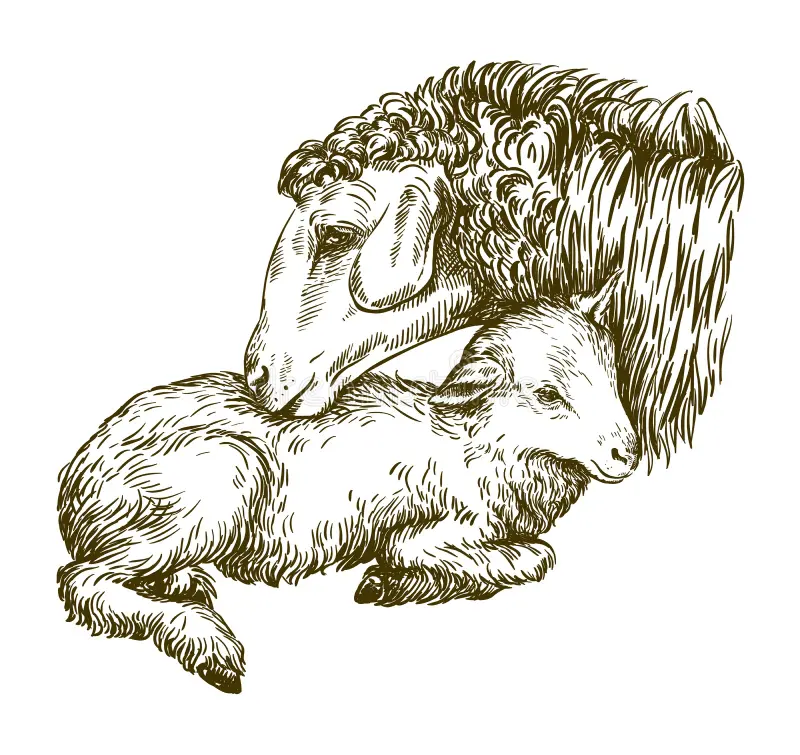 Image default